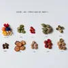 Fruta Fixa Natural Planta Fruta Casca Espécime Material Decoração Flores Secas Fatias Jardim de Infância DIY Pacote de Material de Natal