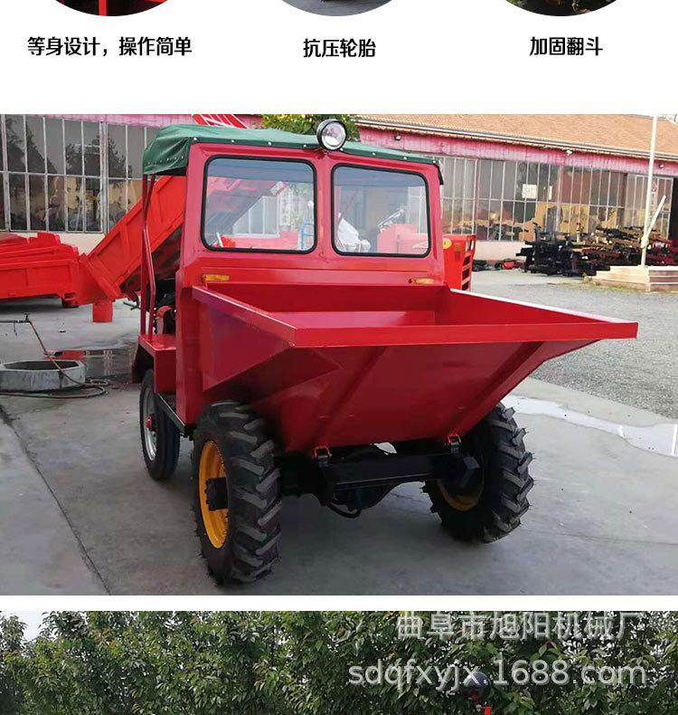 10.jpg