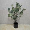 Simulação de bonsai de árvore de dinheiro, simulação direta da fábrica de piso de eucalipto, decoração de interiores de plantas falsas, vasos de plantas