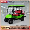 Carritos de Golf para Exportación Transfronteriza, Oficinas de Ventas Inmobiliarias, Visitas a Casas, Aeropuertos, Parques de Diversiones, Vehículos Eléctricos de Cuatro Ruedas para Paseos Turísticos