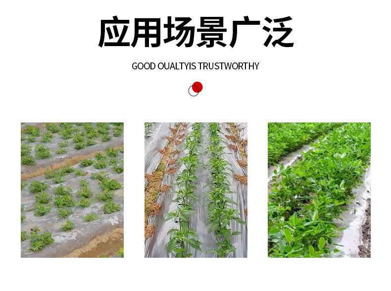 详情_07.jpg