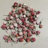 Flores Secas de Pistacho a Granel, Frutos Secos en Forma de Cruz, Decoraciones para Muñecas, Frutos de Eucalipto, Frutos de Zombi, Calabazas Mini
