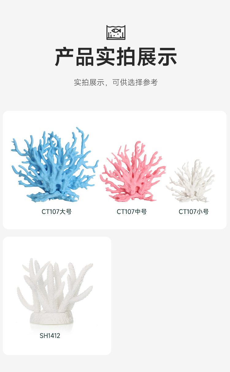 详情_06.jpg