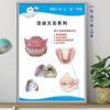 Pintura Pendurada para Clínica Odontológica Cartaz de Publicidade para Clínica Odontológica Quadro de Parede Pintura de Decoração de Parede para Estomatologia Mural de Dentes de Alta Qualidade