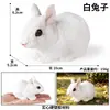 Juguete de Mano para Niños Modelo de Animal Salvaje de Simulación Sólida Cognitiva Pollo Picoteando Arroz Gallo Amarillo Gallina Pollito Fock