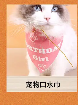 宠物用品关联推荐_07.jpg