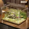 Tanque ecológico de escritorio, pecera estilo 2025, pecera pequeña de vidrio para tortugas para sala de estar, pecera pequeña para peces dorados, nuevo modelo para uso doméstico, acrílico
