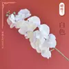 Orquídea Phalaenopsis Artificial, Phalaenopsis de 9 Hastes Estilo Europeu, Decoração de Cena de Casamento, Flor Phalaenopsis Artificial de Alta Qualidade