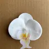 Orquídea Borboleta Cabeça Flor Pequena Flor Artificial, Casamento Casa Fotografia Festa Decoração Externa Ornamentos