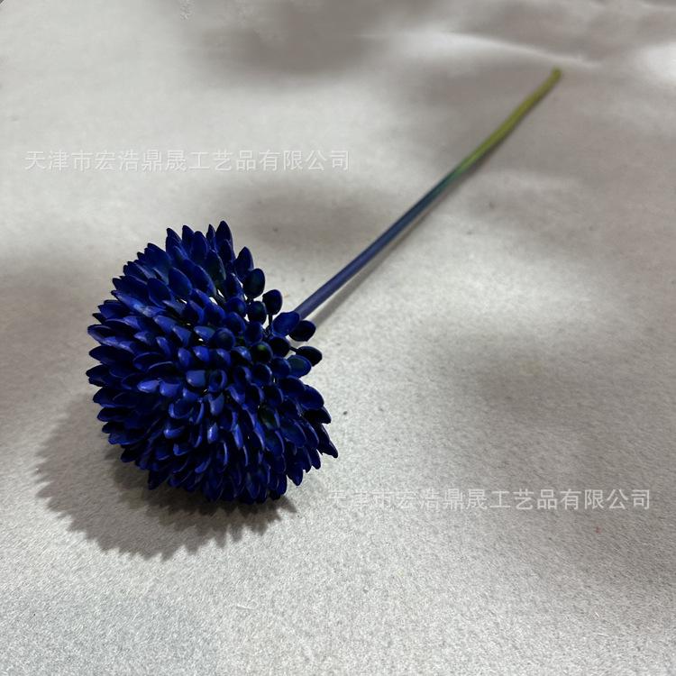 微信图片_2023022416491411_副本