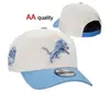 Nueva gorra de béisbol AA Super Bowl, gorra bordada ajustable de comercio exterior, gorra de visera curva estilo hip-hop callejero de la NFL para hombres y mujeres