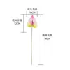 Jiamo Trompeta Flamenco Estilo INS Fabricante de Flores Artificiales Decoración del Hogar Boda Venta al por Mayor Artesanías de Flores Artificiales Transfronterizo