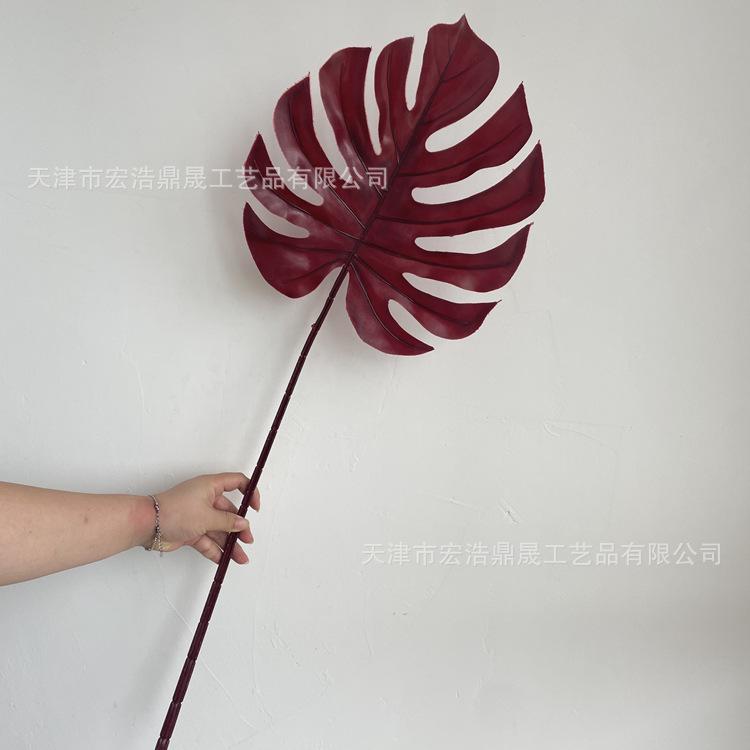 微信图片_202208091601427_副本