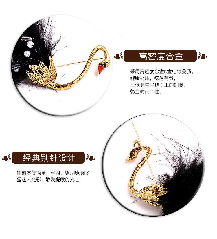 黑天鹅.jpg