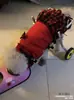 Cadeira de rodas para cães com paralisia dos membros posteriores, auxílio de mobilidade para cães com deficiência, suporte para patas traseiras para gatos, Teddy, raças grandes e pequenas