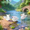 Estilo Ins Hermoso Cisne Blanco Micro Paisaje Adornos de Resina Joyería Carnosa Zakka Adornos de Regalo Creativos