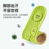 Plantillas de Artemisa para Entrenamiento Militar, Unisex, Perfumadas, Desodorantes, Absorbentes de Sudor, Transpirables, Suaves, Plantillas de Masaje para Deportes de Verano, Mayoreo
