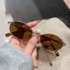 Gafas de Sol Ovaladas Pequeñas para Mujer con Aspecto de Alta Gama, Bisagras de Resorte, Nuevo Estilo de Moda 2026, Gafas de Sol con Montura de Metal Xiaohongshu
