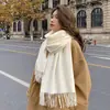 Novo Cachecol de Imitação de Caxemira com Franjas Outono e Inverno Mais Vendido Cor Sólida Versátil Cachecol Espesso Cachecol de Cor Sólida Outono e Inverno Feminino Venda por Atacado