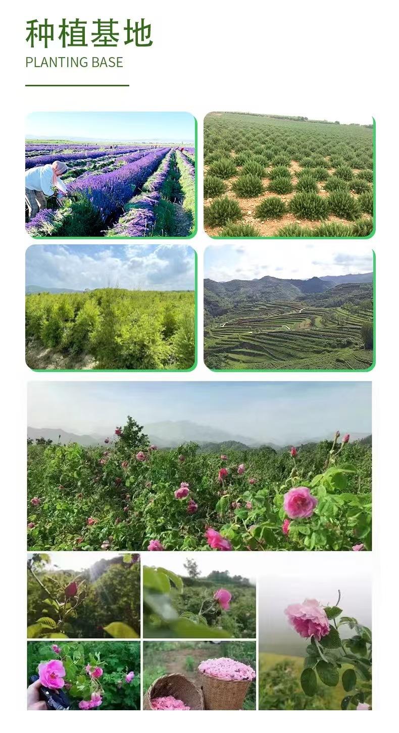 微信图片_20250507142308