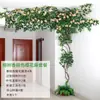 Simulação Árvore Cipó Folhas Galhos Folhas Artificiais Cipós Plantas de Parede Decoração de Interior Planta Verde Grande Parede de Plantas Cipós de Folha Verde