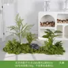 Musgo Sintético Decoración Suave para Interiores Conjunto de Micro Paisaje Combinación Exhibición en Ventana Pasillo Musgo Artificial Plantas Verdes Arreglo de Paisajismo Decoración