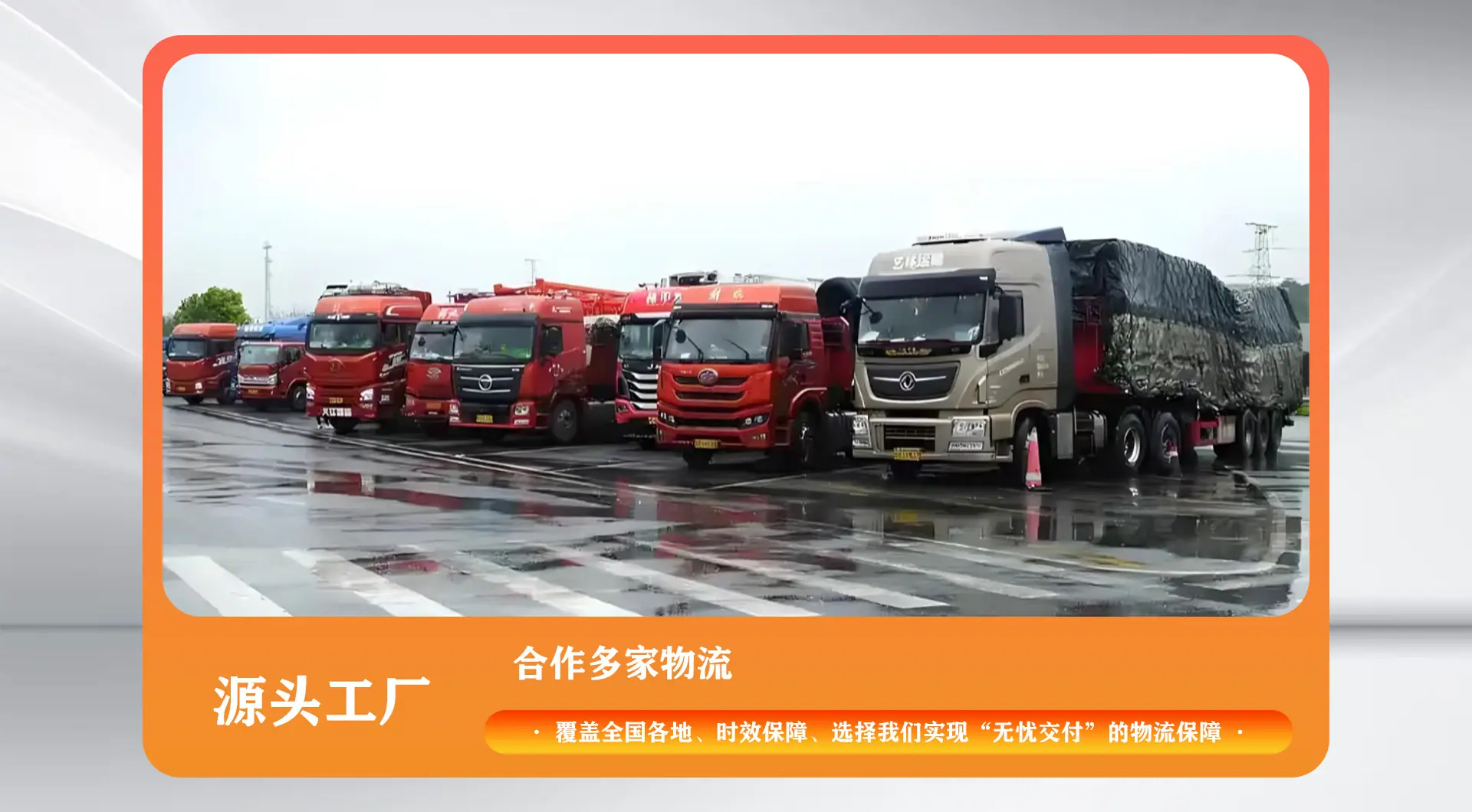 新6