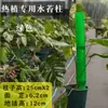 Pilar de musgo Sphagnum para pared, nuevo modelo 2026 para plantas tropicales, pilar de soporte para planta trepadora Monstera, se puede empalmar y extender para ajustar el tamaño