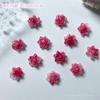 Paquete de material para joyería de uñas rosa Paquete Tres mariposas tridimensionales pez dorado pequeño joyería de uñas de dibujos animados paquete de material de belleza para uñas luminoso