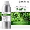 Óleo Essencial de Cipreste Madagascar Óleo Essencial Destilado Único Massagem Cuidados com o Cabelo Cuidados com a Pele Facial Aromaterapia Amadeirado Amostra de Fragrância