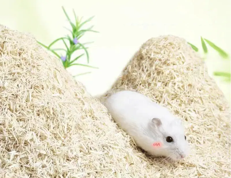 纤维