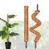 Pilar de Jardinagem Rosa Verde Vara de Palmeira de Coco Deformada Suporte de Escalada para Plantas Nova Vara de Palmeira de Coco Estilizável DIY
