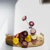 Pinha Flores Secas Artesanais Adereços de Fotografia Materiais Florais DIY Decorações para Sala de Estar Presentes de Natal