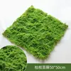 Grama de Musgo Biónica Artificial Musgo Falso Micro Paisagismo Decoração Gramado Bonsai Plantado em Vaso Pavimentação Paisagismo
