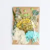 Decoración artesanal DIY mixta, set de flores eternas y flores secas, material para marco de fotos DIY, material de flores, bolsa para repujado