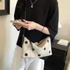 Bolso de Axila de Lunares de Nicho para Mujer Verano 2026 Nuevo Bolso Cruzado de Gran Capacidad para el Trabajo Bolso de Tela Simple Bolso de Hombro Único