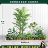 Simulação Verde Planta Paisagismo Escadas Internas Decoração de Canto Varanda Corredor Janela Biônica Árvore Falsa Paisagem Planta Paisagismo