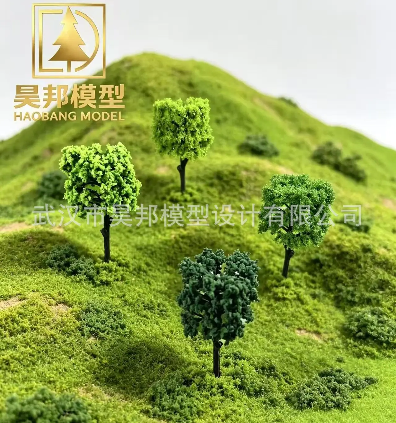 微信图片_20260530133501_57_2