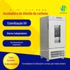 Incubadora de Dióxido de Carbono Laboratório Co2 Tecido Animal Microbiano Temperatura Constante Célula Incubadora Bacteriana
