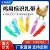 Laços para Pés de Frango, Bandas para Embalagem de Aves, Anéis para Pés de Pombos, Tiras de Puxar Fácil, Laços Tipo Zíper para Patos, Codornas e Gansos