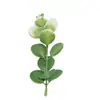 Planta Acuática Artificial Manojo de Tallos Accesorios Hierba de Dinero Simulada Acuario Césped Jardinería Suelo Bonsái Flor Terminada Manojo de Tallos Fábrica Venta al por Mayor