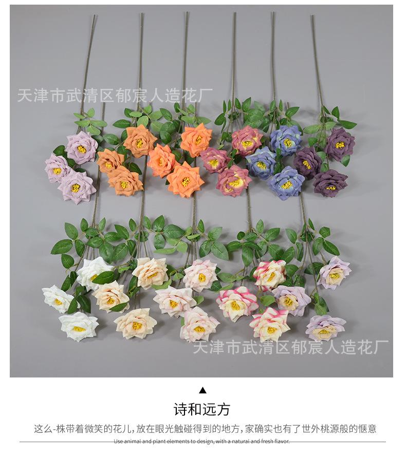 详情_07.png