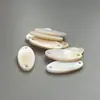 Hebilla de señalización de concha natural hebilla de marca de concha ovalada blanca hebilla de concha de forma especial color original fábrica fuente al por mayor