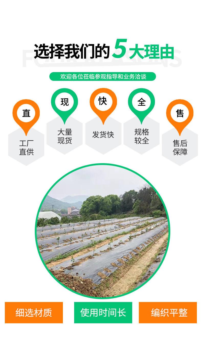 防草布_03.jpg