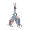 Correa para Mascotas Color Degradado Cuerda para Pasear Perros al Aire Libre Juego de Correa y Collar Arnés de Pecho para Perros Pequeños y Medianos Correa para Perros