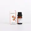 Amazon Hotel Difusor de Aceite Esencial de Aromaterapia sin Fuego Humidificador Hogar Dormitorio Coche Set de Aromaterapia Hidrosoluble