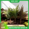 Venta al por mayor de fábrica Plantas Verdes Artificiales Hechas a Medida, Helechos Imperiales de 13 Cabezas para Paisajismo de Interiores y Uso Decorativo