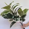 Planta Verde Artificial Adornos para el Hogar Sala de Estar Arreglos Florales Props de Paisaje Props para Fotografía de Bodas