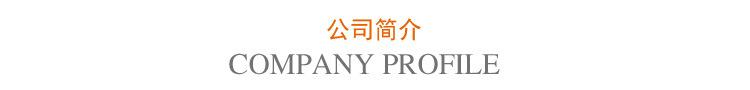 公司简介