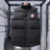 Chaleco de Plumas de Ganso Otoño e Invierno Nuevo Engrosado de Moda Casual sin Mangas Chaqueta de Plumas Chaleco Térmico de Plumas de Pato para Hombres y Mujeres